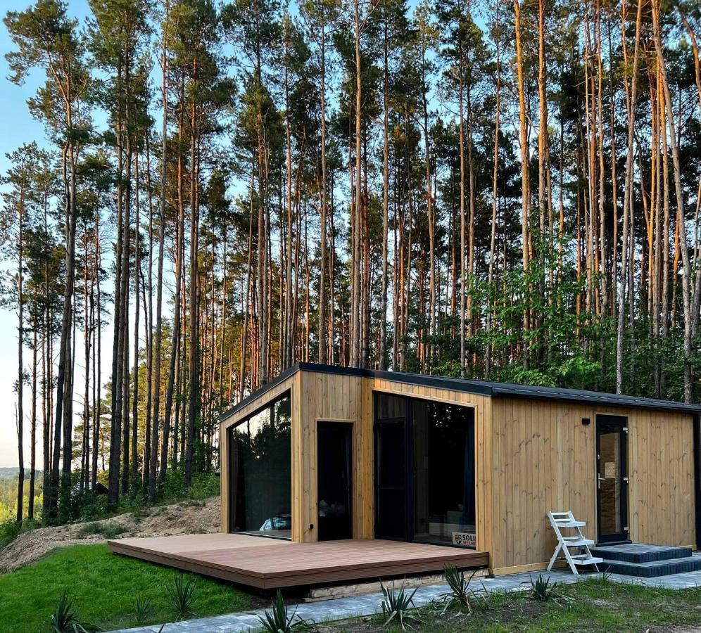 Brama Do Lasu - Domek Mocy Borków エクステリア 写真