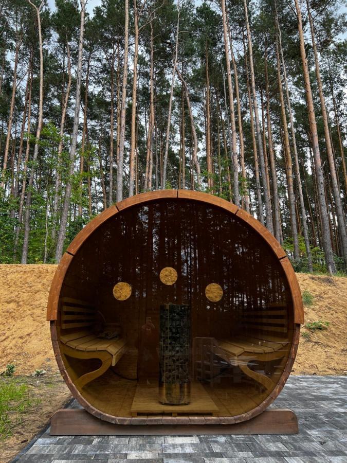 Brama Do Lasu - Domek Mocy Borków エクステリア 写真